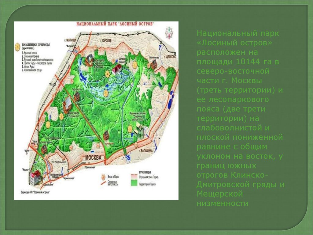 Проект заповедник лосиный остров