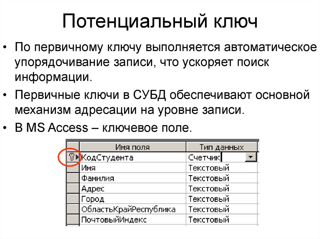 Первичный ключ типы данных. Первичный ключ в базе данных аксесс. Первичный и внешний ключ в БД. Первичный ключ в реляционной базе данных. Потенциальный ключ БД.