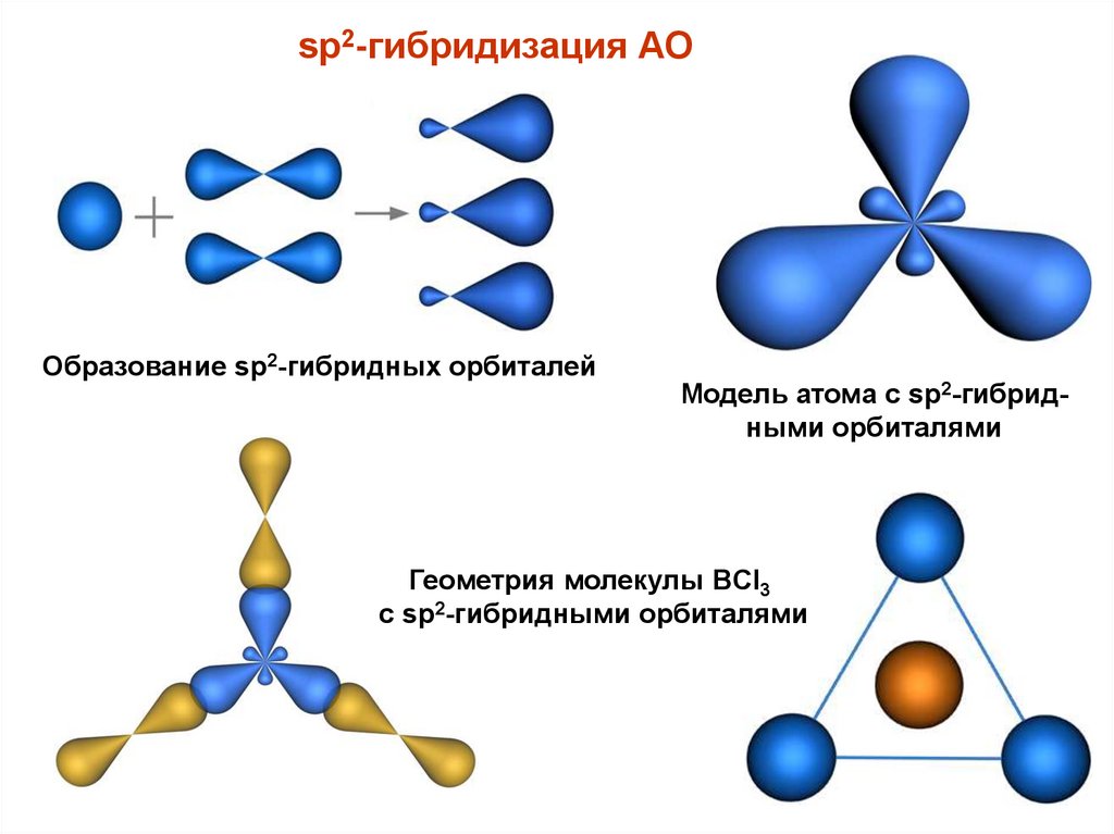 Строение молекул гибридизация. SP sp2 sp3 гибридизация атома углерода. Гибридизация орбиталей (SP-, sp2 -, sp3 -). Гибридизация атомных орбиталей SP, sp2 sp3. Sp3 sp2 SP гибридизация углерода.