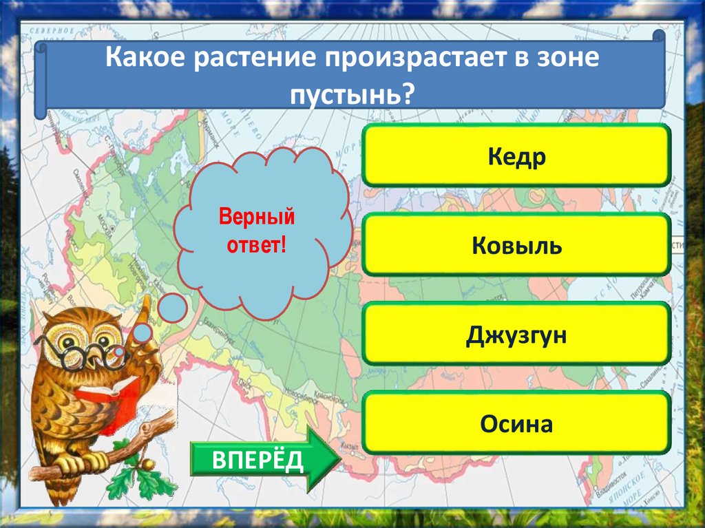 Природные зоны россии 5 класс тест. Погодные условия природных зон. Какие погодные условия в тундре. Природные зоны России окружающий мир. Каковы погодные условия тундры.