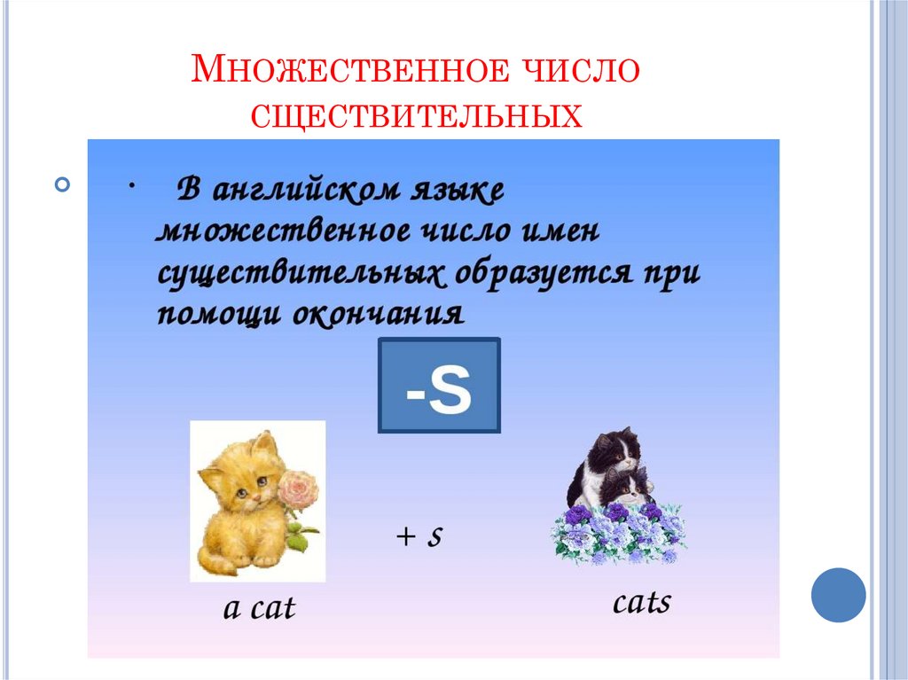 Множественное число в английском языке 2 класс презентация