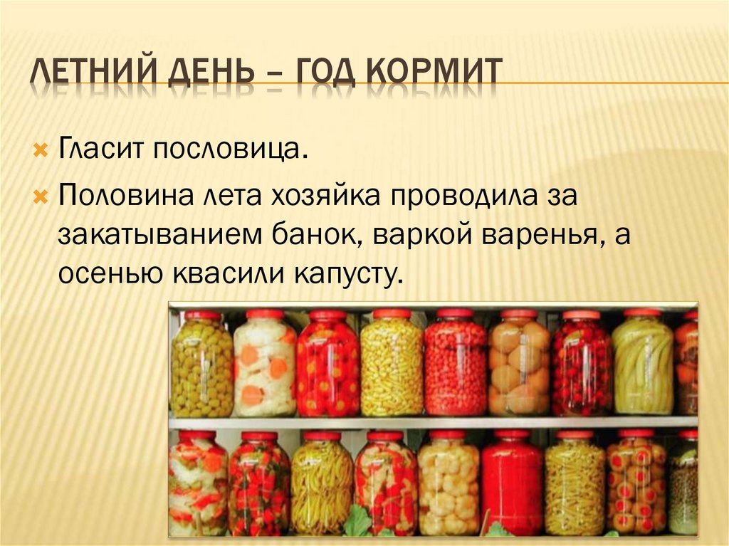 Летний день год кормит смысл пословицы как понимаешь