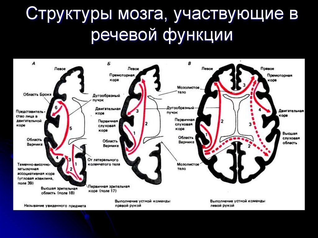 Вторая сигнальная система схема