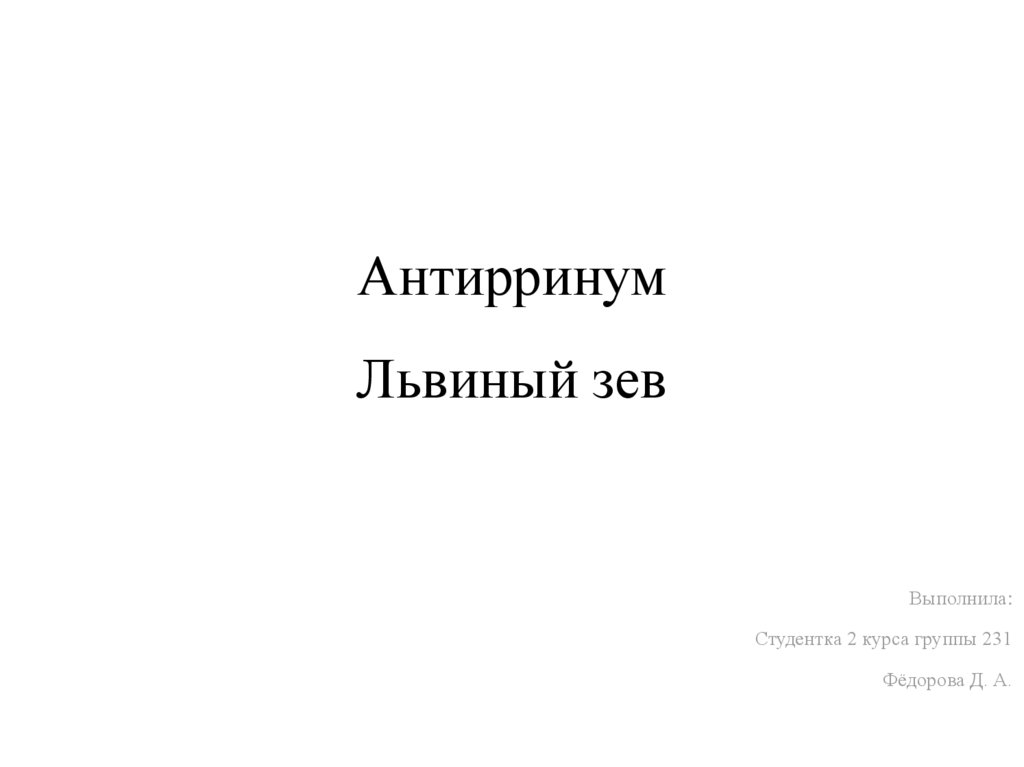 Антирринум - презентация онлайн