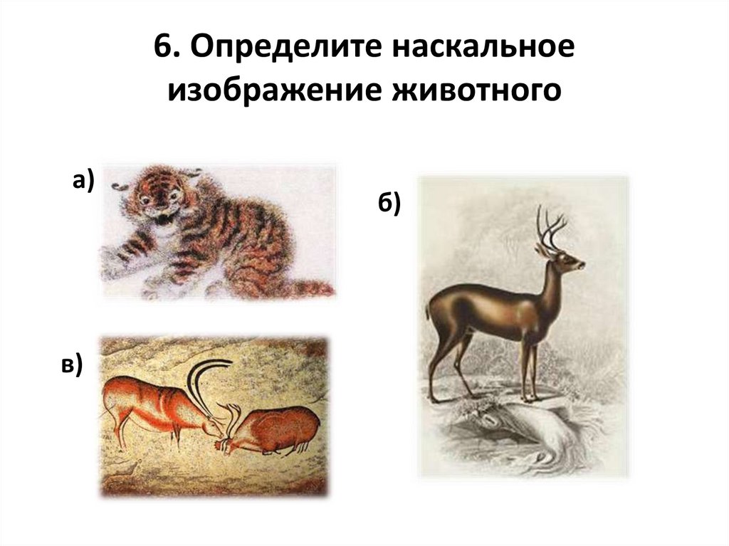 6. Определите наскальное изображение животного