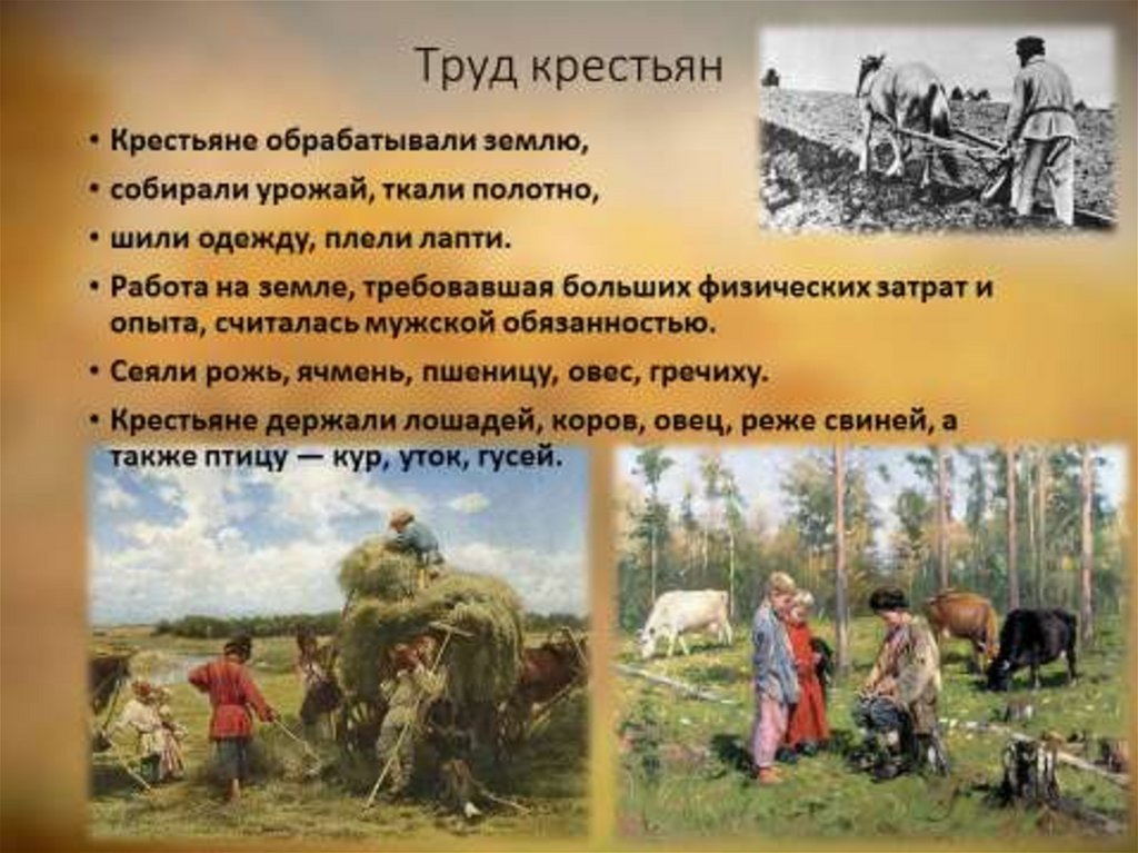 Опишите повседневную жизнь украинских крестьян в 17. Проект на тему крестьянство. Образ жизни крестьян.