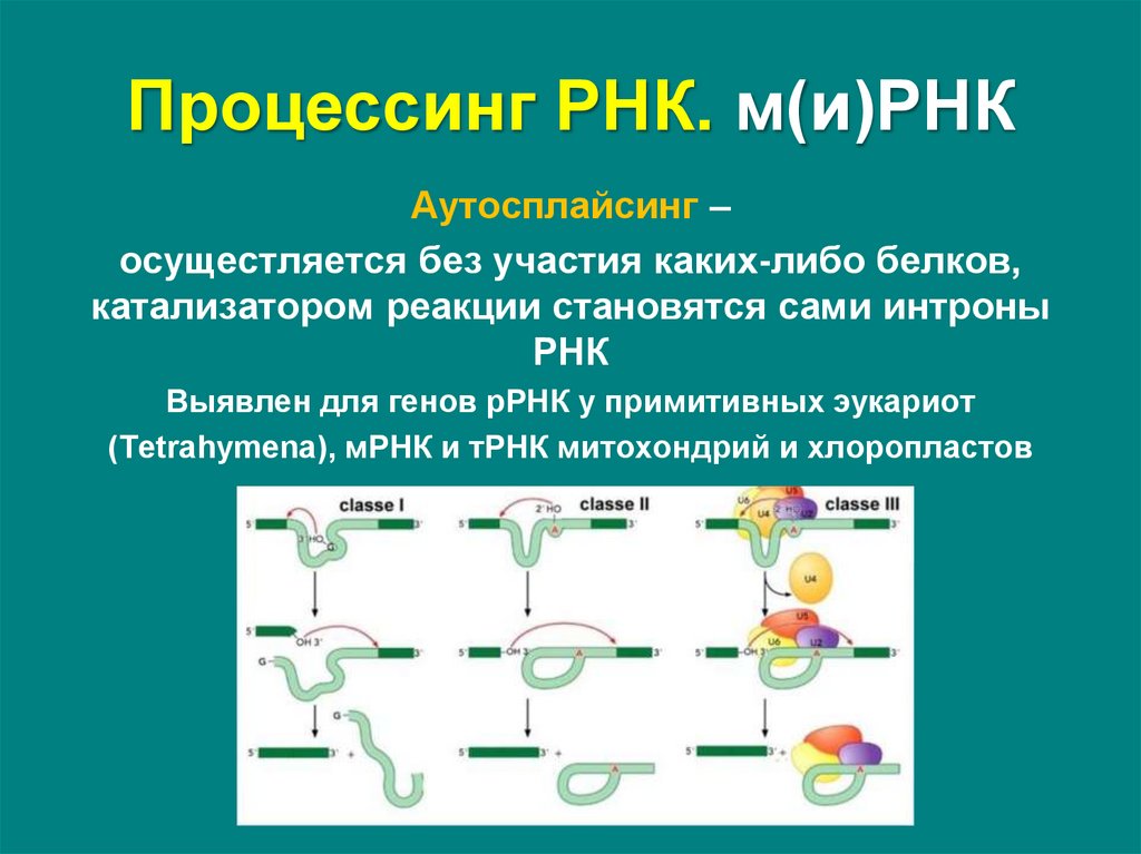 Матричные процессы