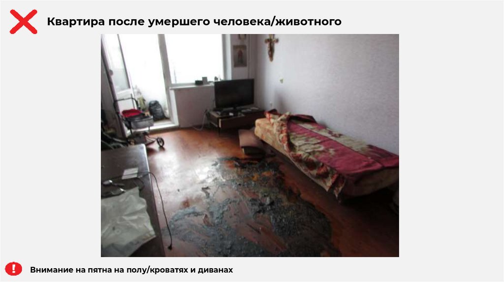 Внимание на пятна на полу/кроватях и диванах