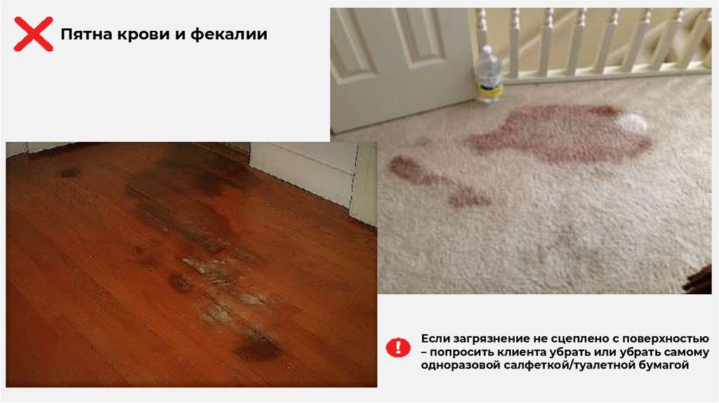 Если загрязнение не сцеплено с поверхностью – попросить клиента убрать или убрать самому одноразовой салфеткой/туалетной