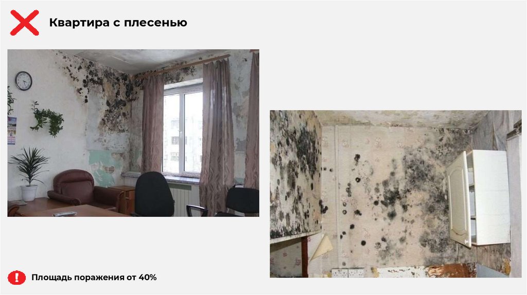 Площадь поражения от 40%