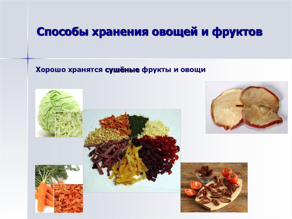 Способы хранения овощей и фруктов