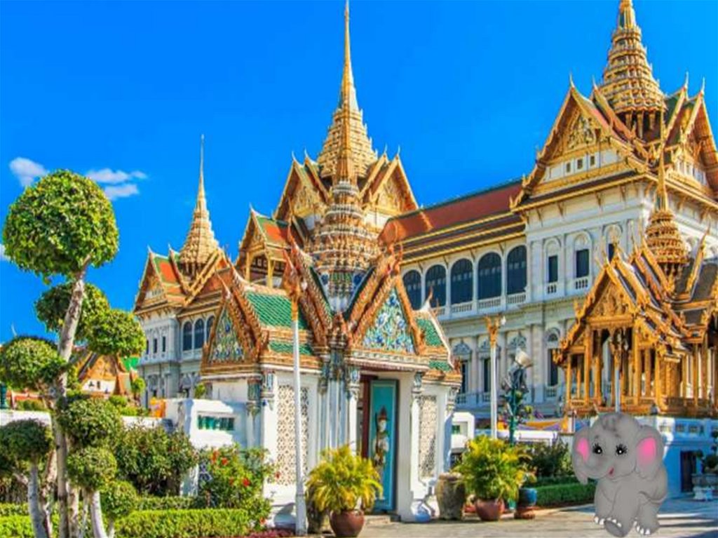 ???Загадка???