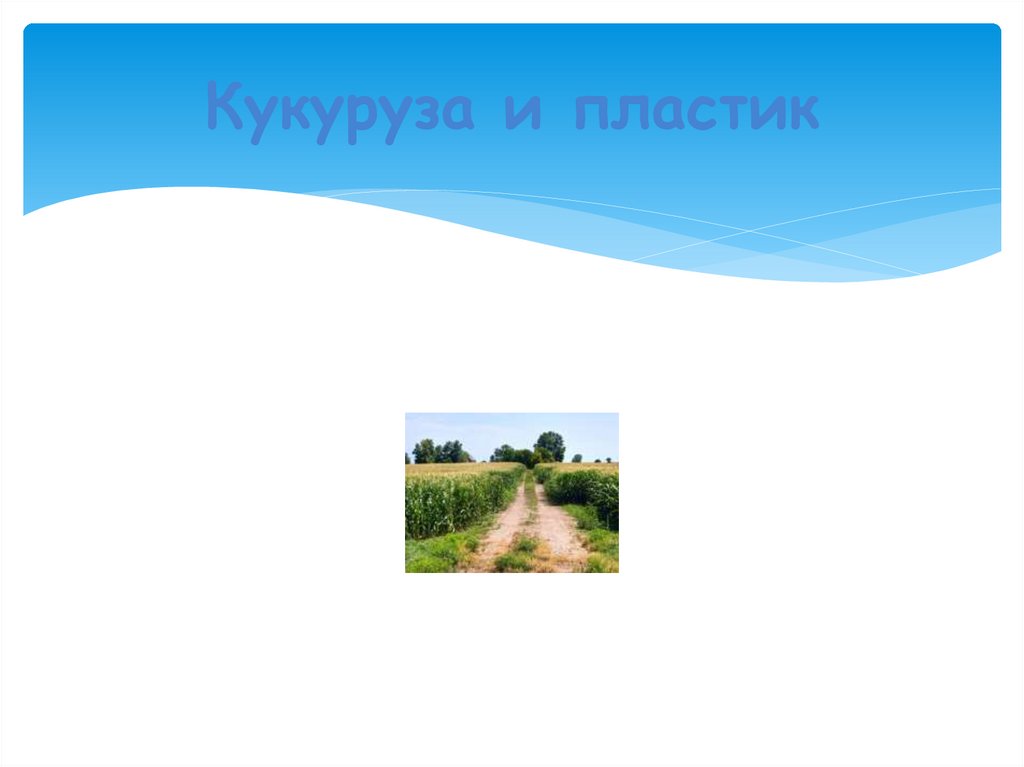 Кукуруза и пластик