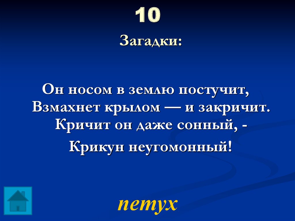 Загадки 10