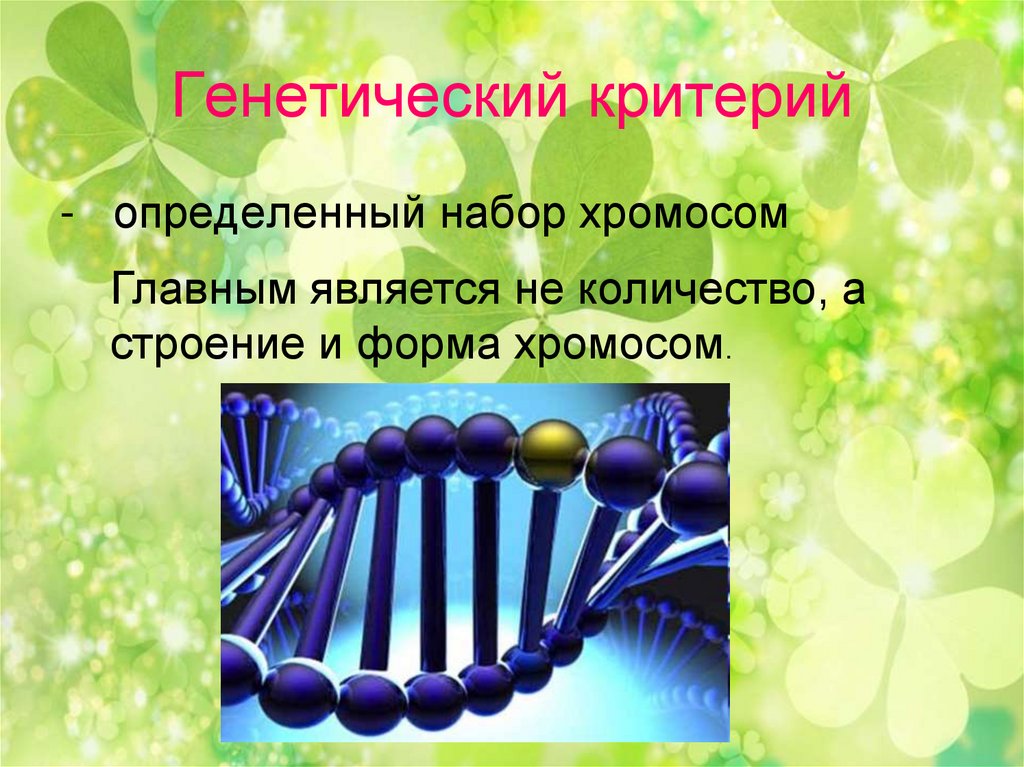 Презентация вид 9 класс. Вид критерии вида популяция. Генетический критерий. Репродуктивный критерий генетический. Презентация виды и его критерии.