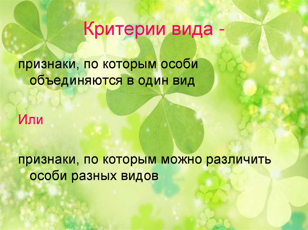 Презентация на тему вид. Вид критерии вида. Критерии вида презентация. Вид критерии и структура. Критерии вида в биологии презентация.