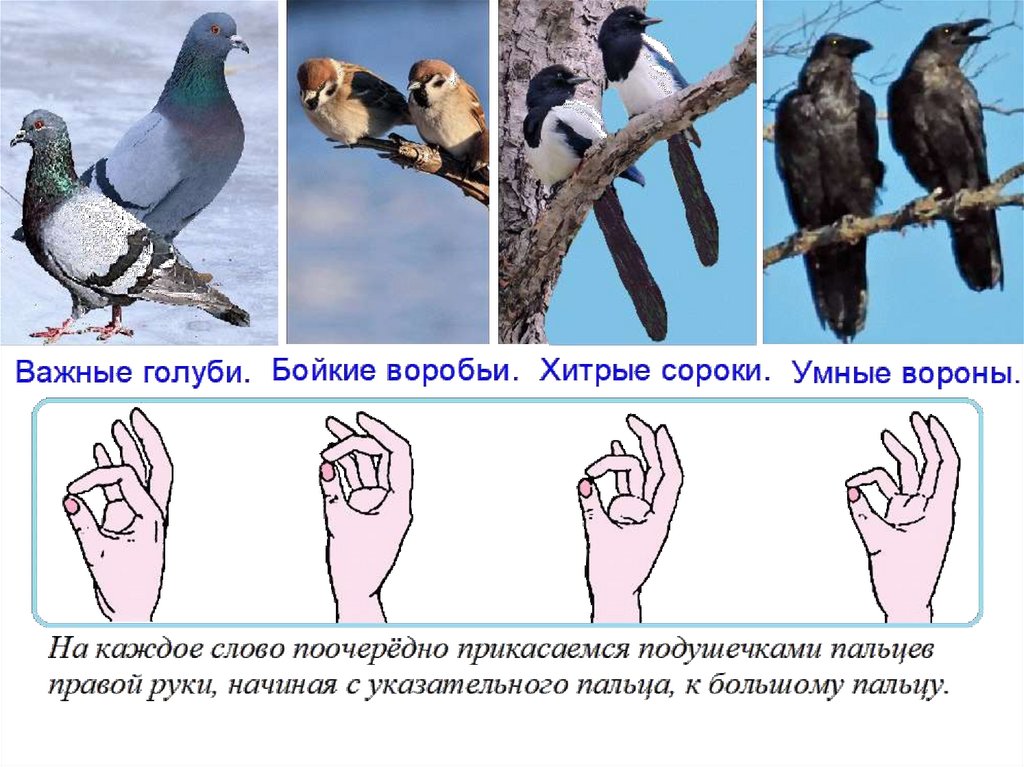 Пальчиковая игра птицы