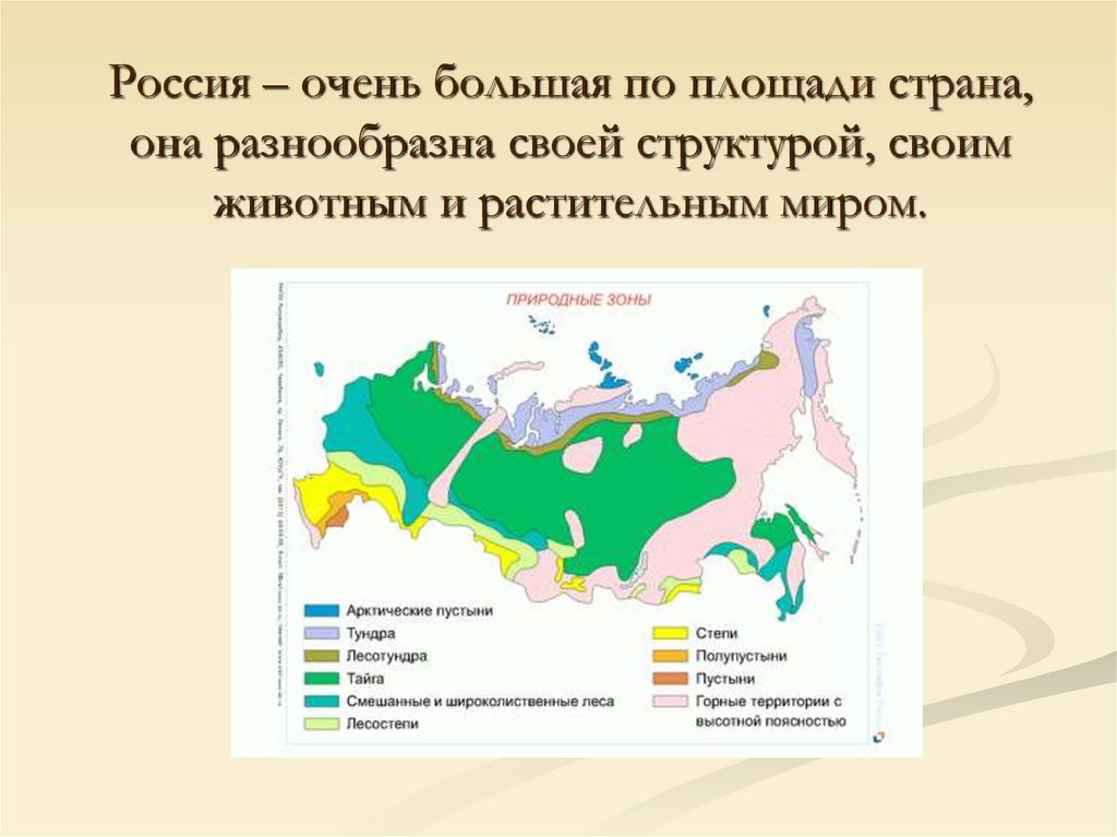 Игры природные зоны россии. Природные зоны. Карта природных зон России. Природные зоны 4 класс. Природные зоны 4 класс окружающий мир.