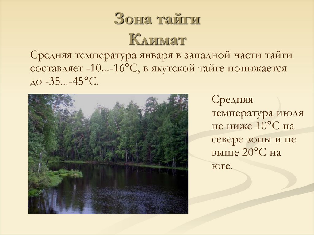 Природно климатические условия тайги. Природные зоны России Тайга климат. Климатическая зона тайги. Климатические условия тайги. Особенности климата тайги.