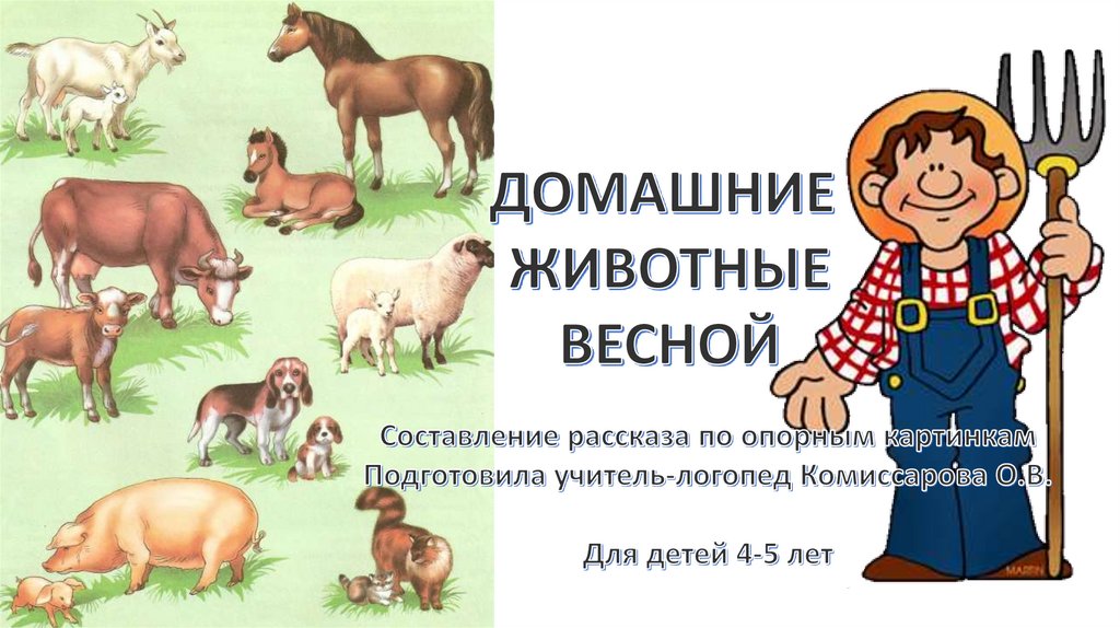 Домашние животные весной презентация