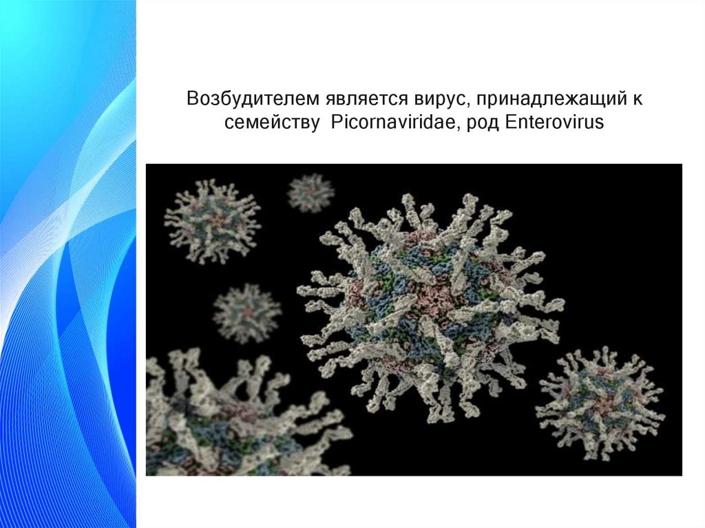 Полиомиелит - презентация онлайн