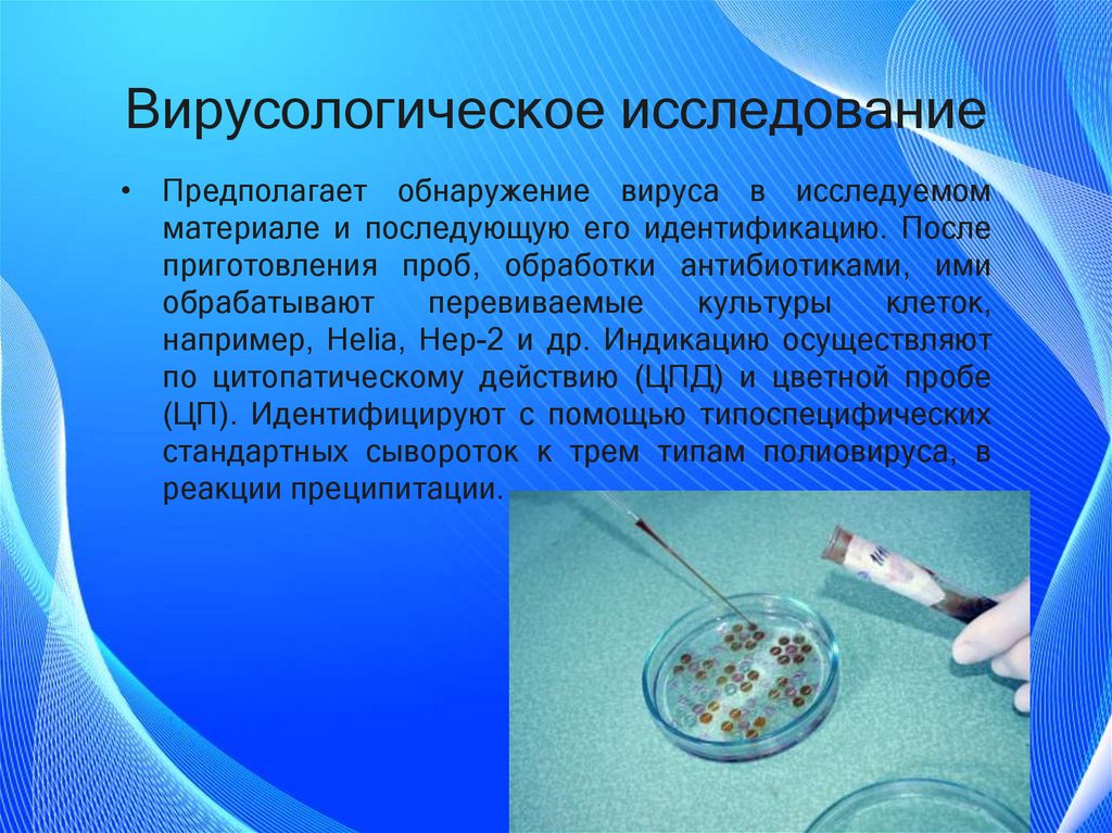 Вирусологическое исследование