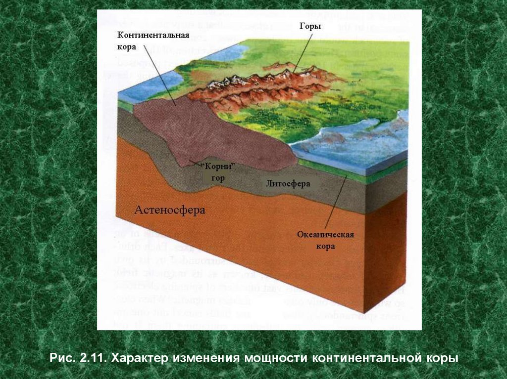 Слои земной коры континентальной и океанической. Строение Континентальной и океанической земной коры.