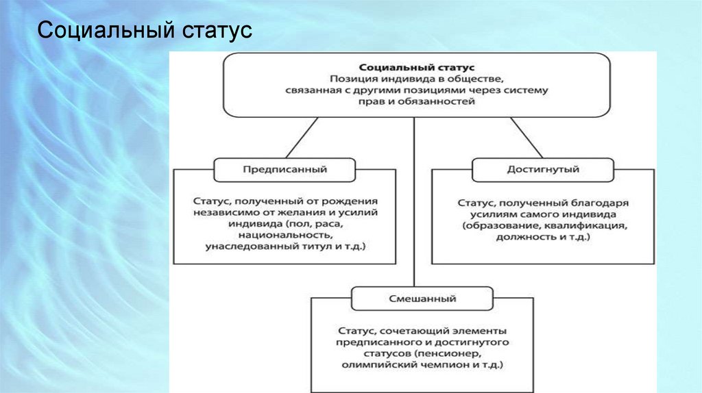 Содержание процесса социализации презентация