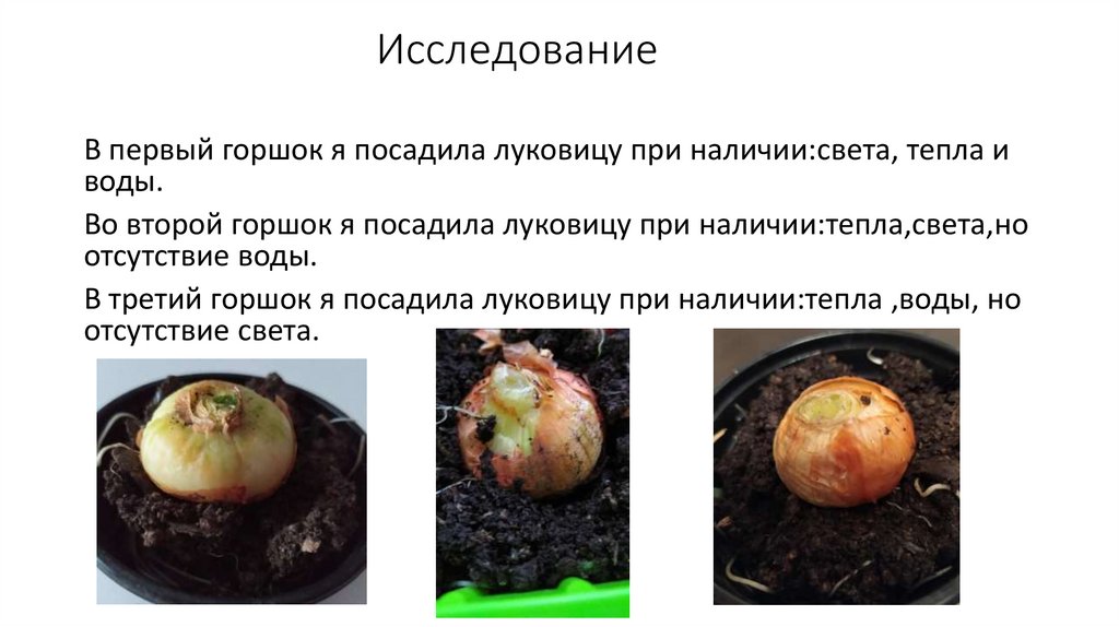 Исследование
