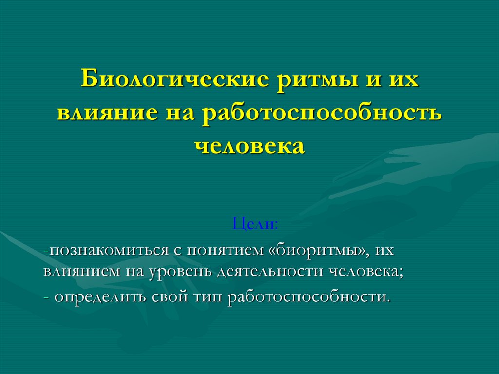 Виды биоритмов человека презентация