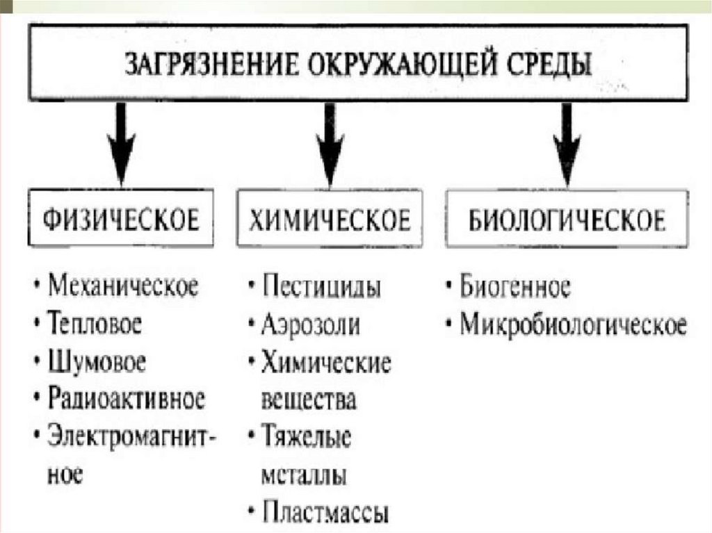 Биологическое антропогенное загрязнение. Физическое химическое и биологическое загрязнение окружающей среды. Виды загрязнений физические химические и биологические. Загрязнение физическое химическое биологическое. Виды химических загрязнений.