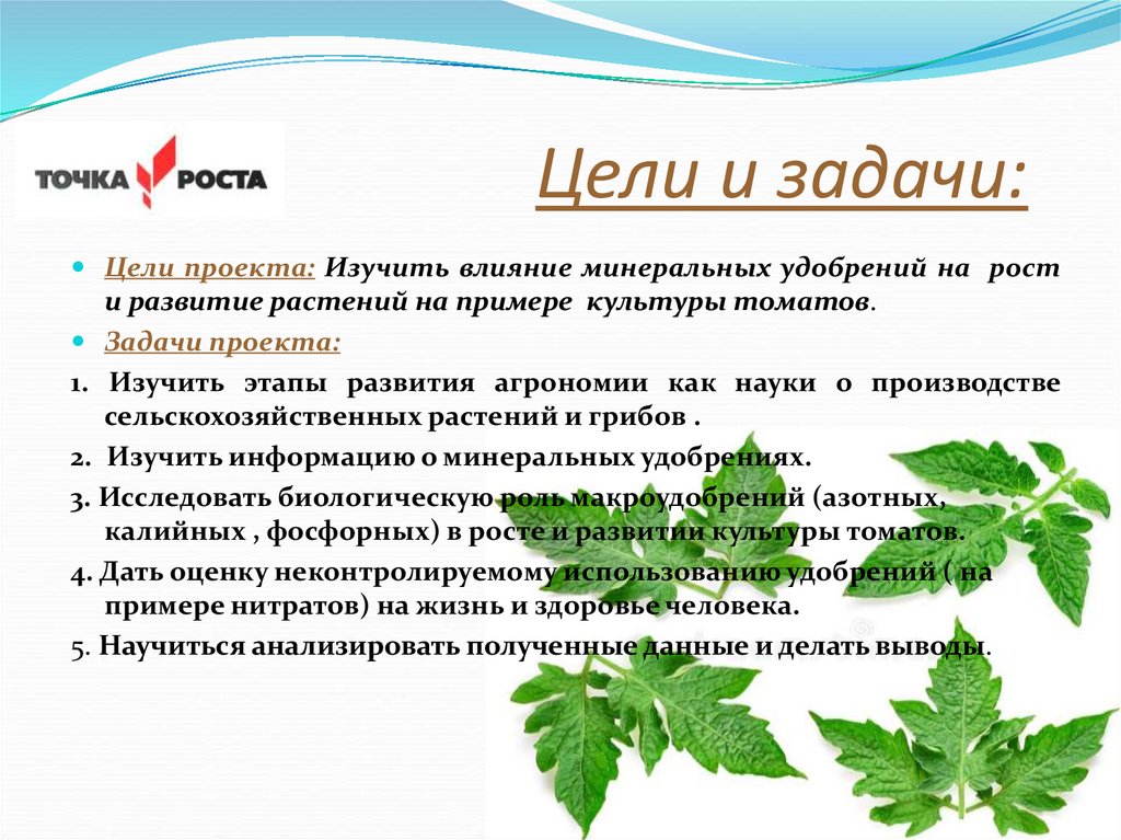 Влияние удобрений рост растений. Влияние удобрений на рост и развитие растений. Влияние Минеральных веществ на растения. Влияние удобрений на растения. Влияние Минеральных удобрений на рост растений.