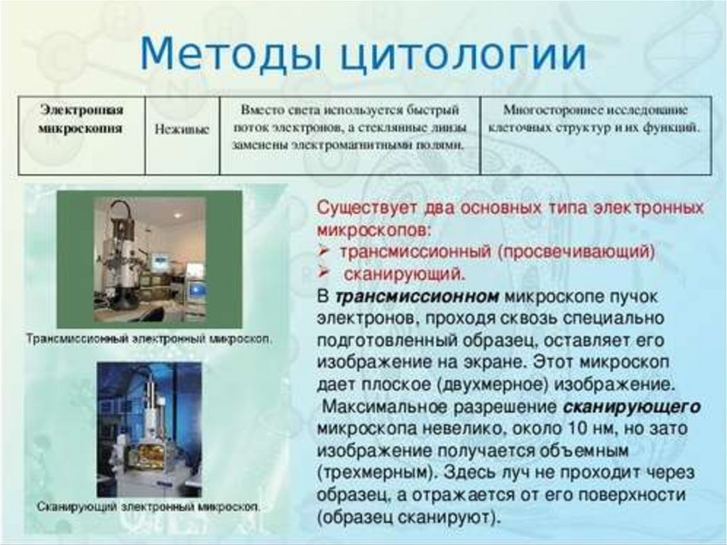 Цитологический метод. Методы изучения цитологии в биологии 10 класс. Методы исследования цитологии биология 9 класс. Методы цитологии клеточная теория 10 класс. Методы изучения клеток цитология.