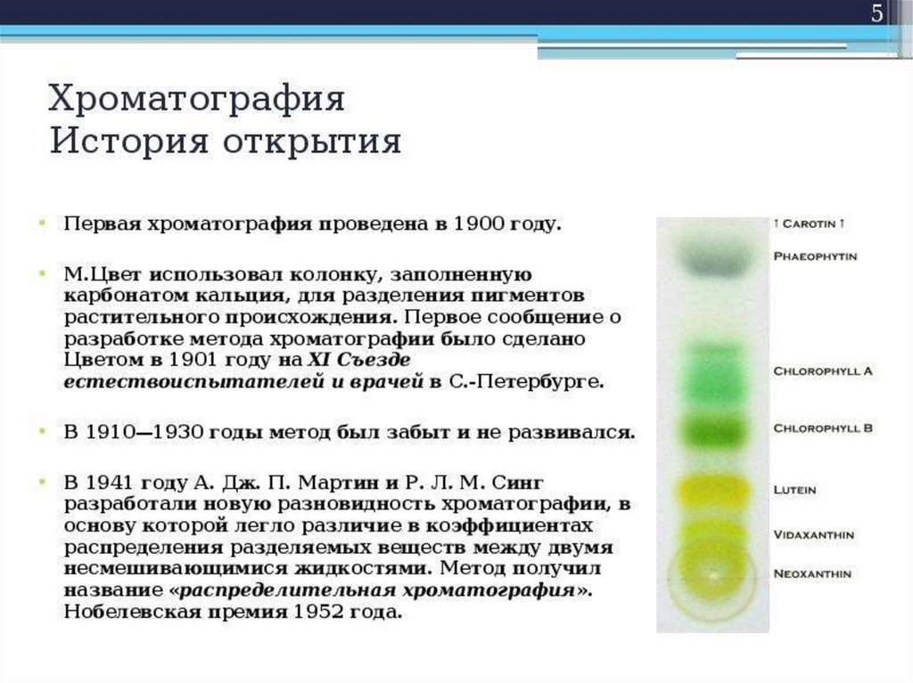 Впервые значение хлорофилла установил русский ученый