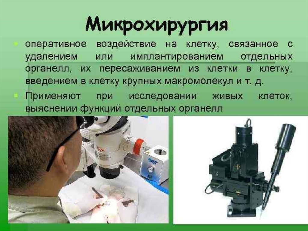 Цитология изучает. Микрохирургия метод изучения клетки. Методы микрохирургии в цитологии. Микрохирургический метод в цитологии. Метод Микрохирургиив цитлоги.