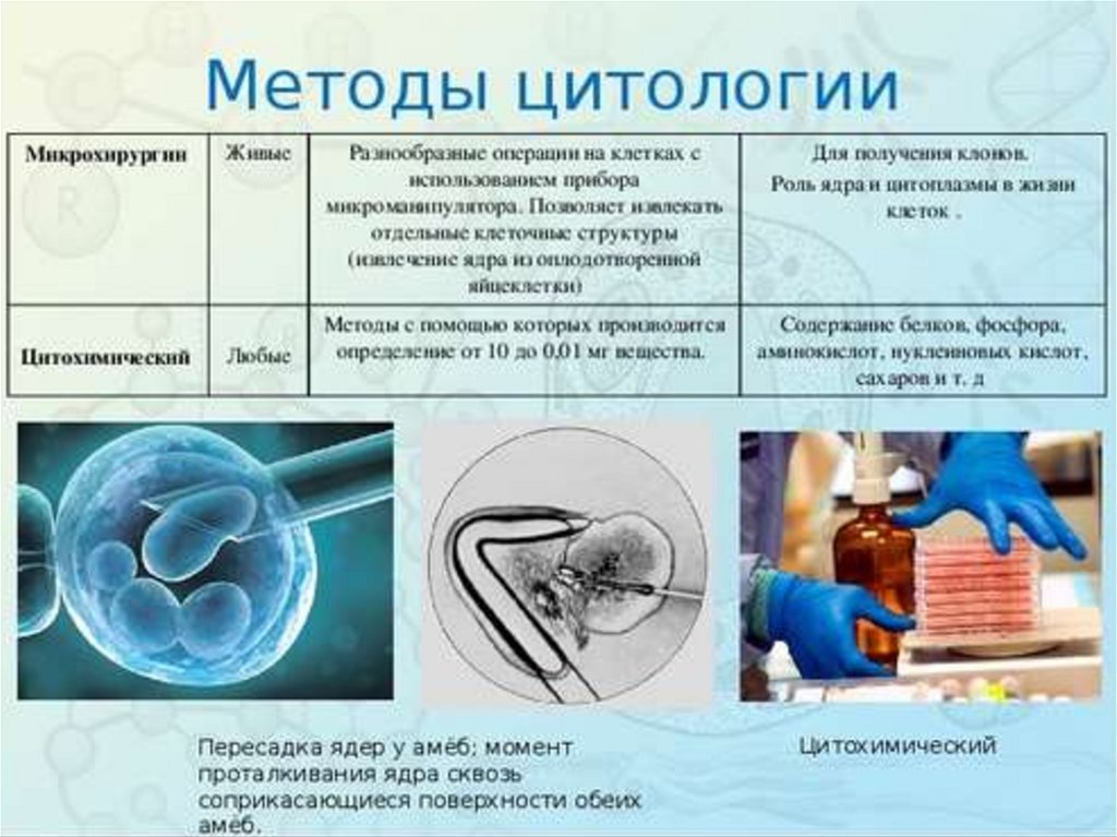 Темы исследование по биологии. Методы изучения клеток биология 10 класс. Методы изучения цитологии в биологии 10 класс. Методы цитологии клеточная теория 10 класс. Методы изучения клетки таблица биология.