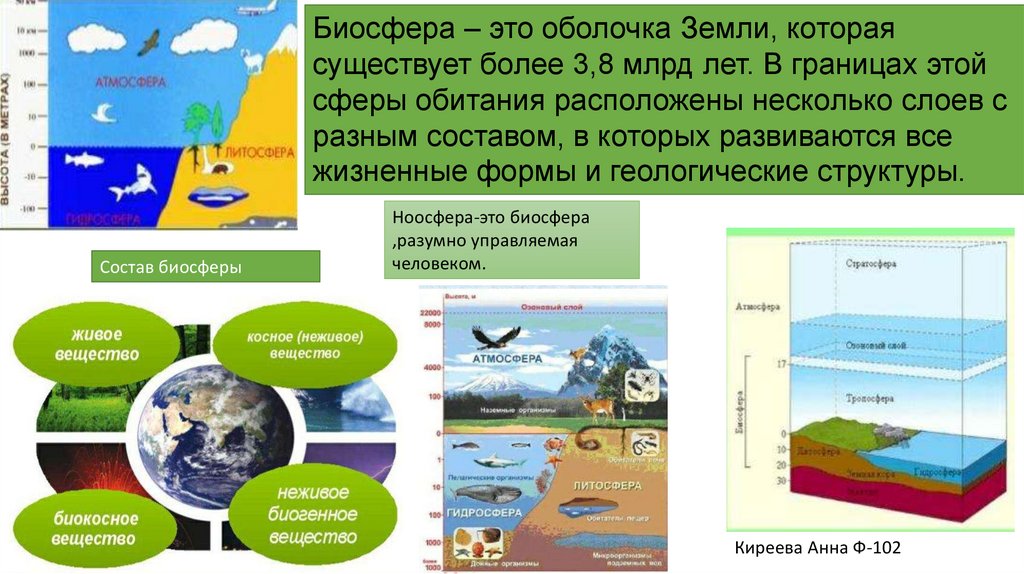Презентация человек часть биосферы география 6 класс. К глобальным изменениям в биосфере относят.