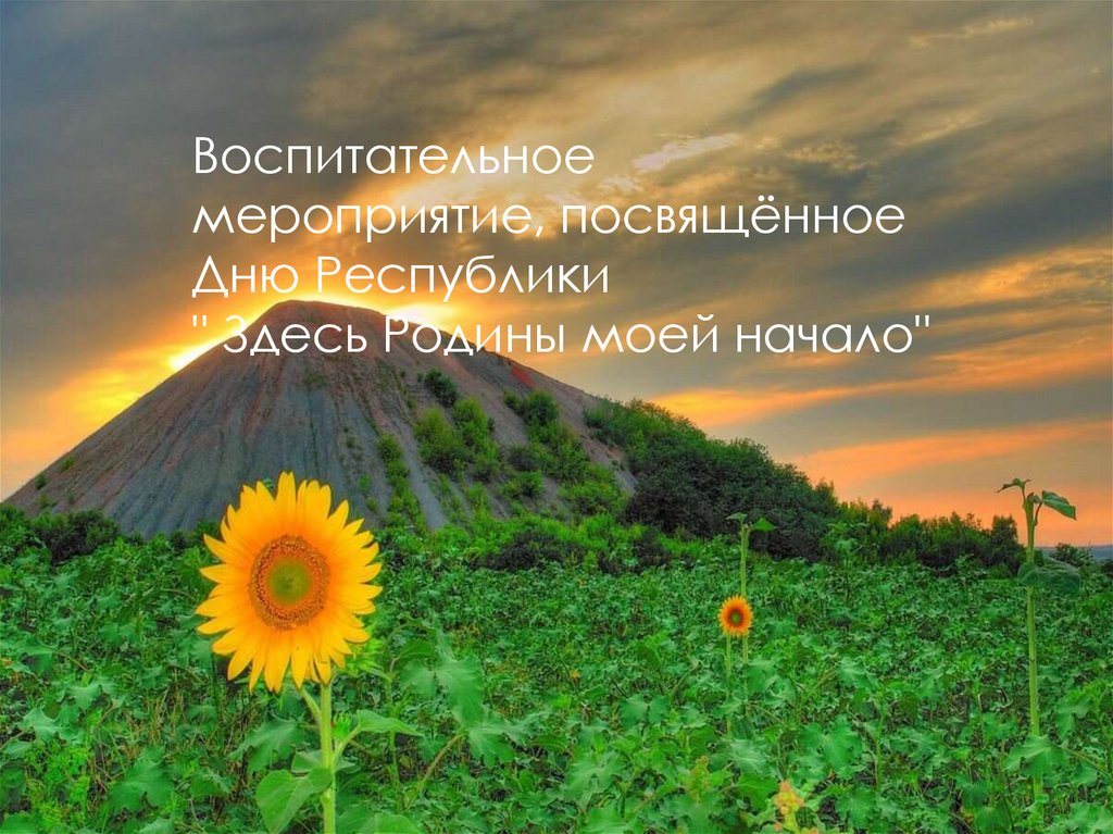 Воспитательное мероприятие, посвящённое Дню Республики "Здесь Родины ...