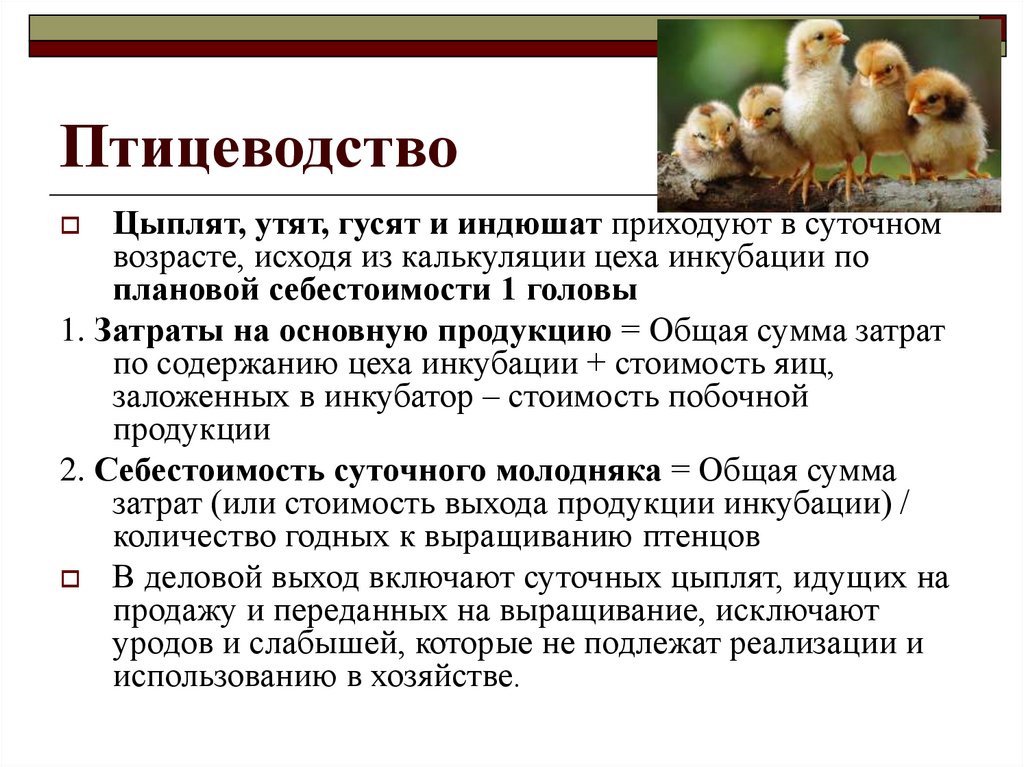 Птицеводство