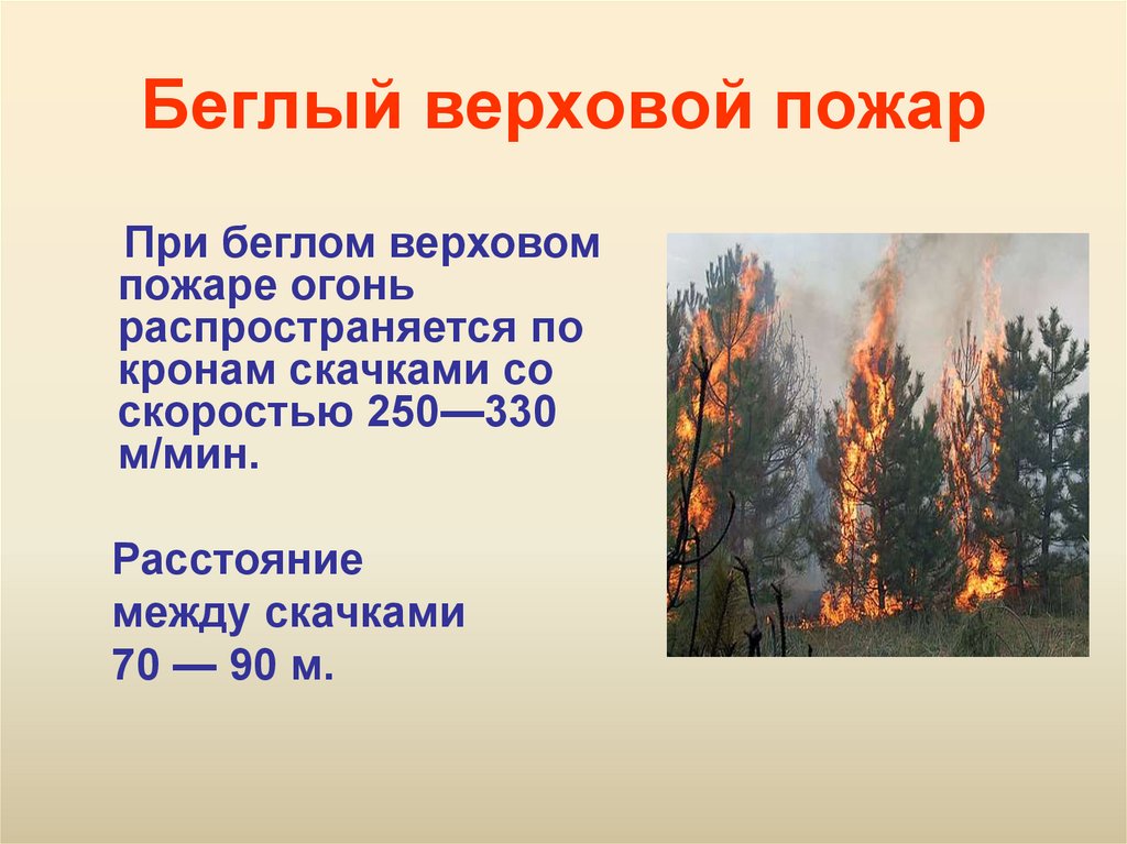 Где чаще всего возникают верховые пожары