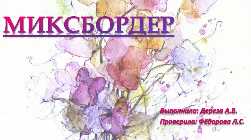 Миксбордер. Понятие - презентация онлайн
