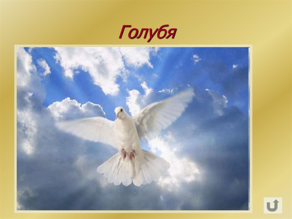 Голуби крылатые. Белые голуби в небе. Come with Peace. Peace is coming.