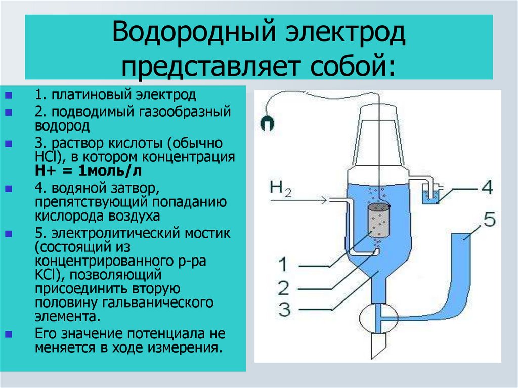 Рисунок водородного электрода