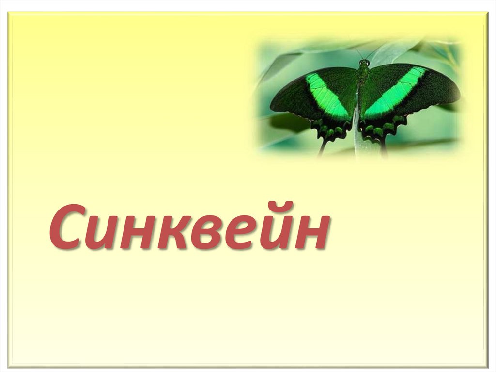 Синквейн рисунок. Синквейн бабочка. Синквейн картинка. Синквейн по слову бабочка. Синквейн в картинках для дошкольников.
