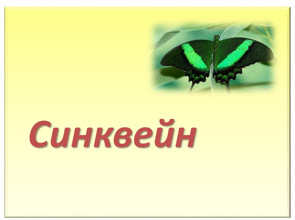 Синквейн тайное становится явным. Синквейн бабочка. Синквейн картинка. Синквейн по слову бабочка. Синквейн в картинках для дошкольников.