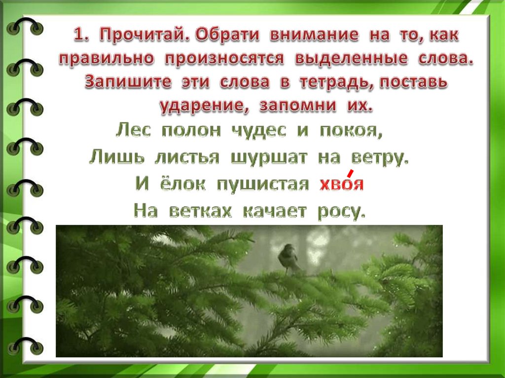 Ударение в слове лесу. Прочитай обрати. Снег,ель Ива поставь ударение.