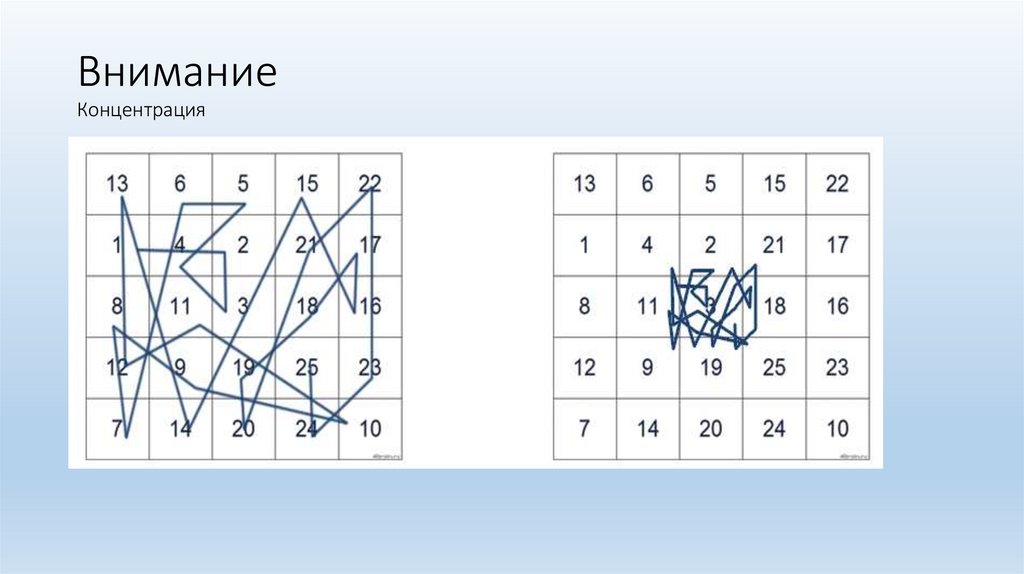 Внимание Концентрация