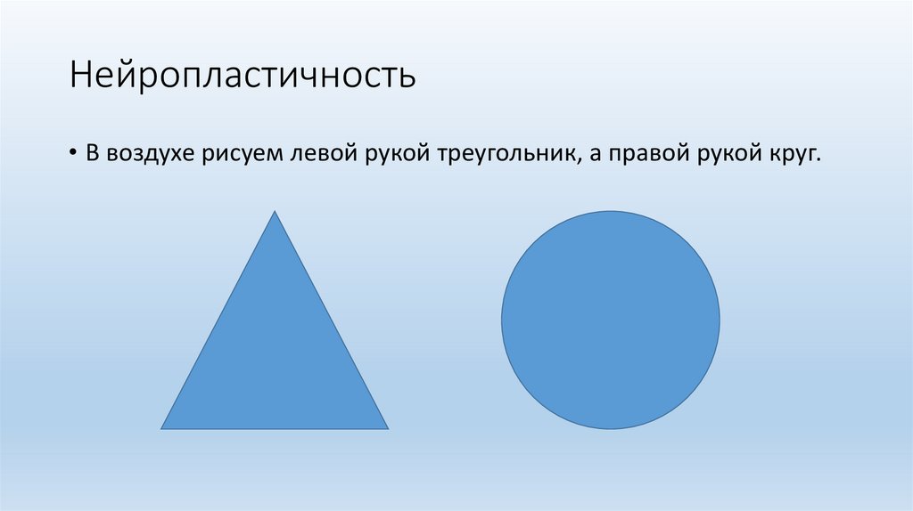 Нейропластичность