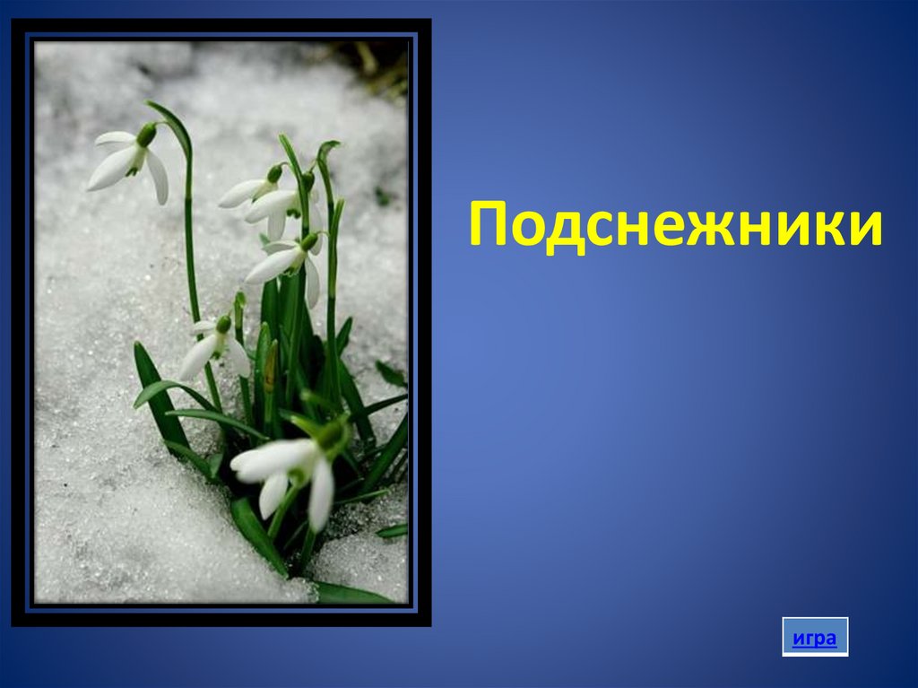 Подснежники