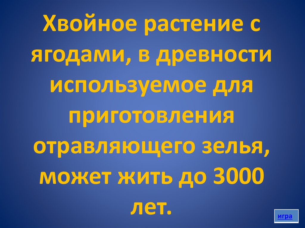 Хвойное растение с ягодами, в древности используемое для приготовления отравляющего зелья, может жить до 3000 лет.